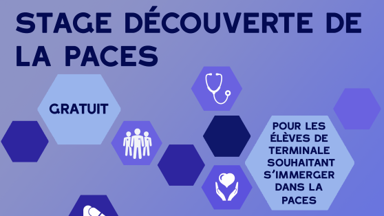 Affiche Stage Tutorat Février 2019 small.png