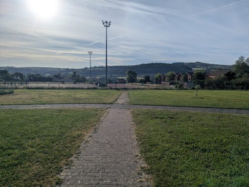 Parc au matin.jpeg