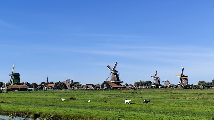 1791875929640 (1).jpg